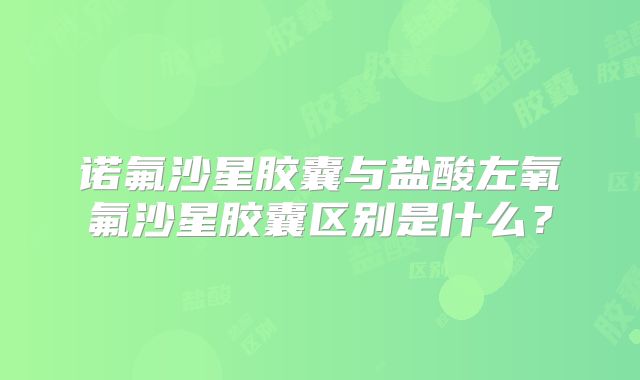 诺氟沙星胶囊与盐酸左氧氟沙星胶囊区别是什么？