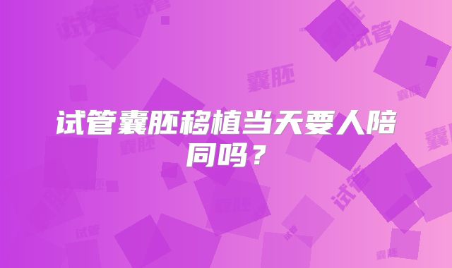 试管囊胚移植当天要人陪同吗？