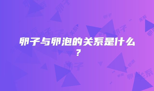 卵子与卵泡的关系是什么?
