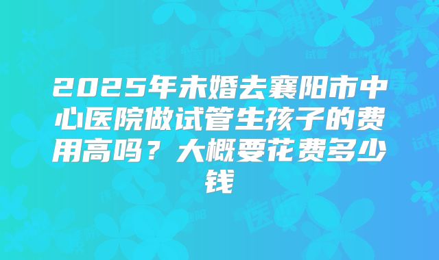 2025年未婚去襄阳市中心医院做试管生孩子的费用高吗?大概要花费多少钱