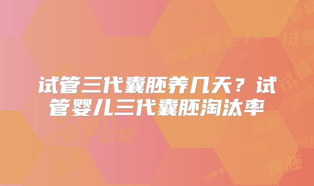 试管三代囊胚养几天？试管婴儿三代囊胚淘汰率