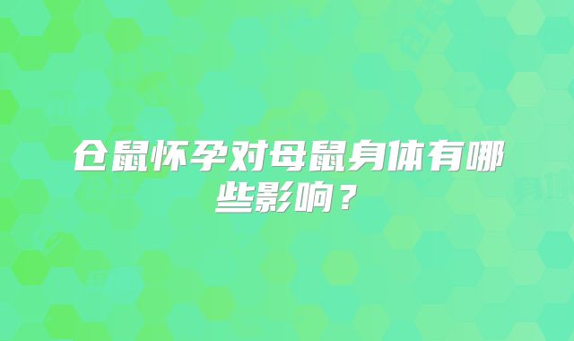 仓鼠怀孕对母鼠身体有哪些影响?