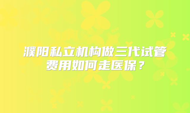濮阳私立机构做三代试管费用如何走医保?