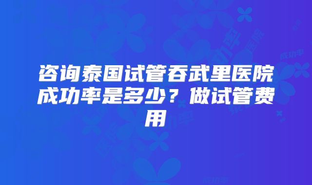 咨询泰国试管吞武里医院成功率是多少？做试管费用