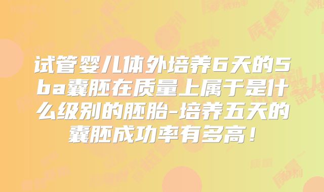 试管婴儿体外培养6天的5ba囊胚在质量上属于是什么级别的胚胎-培养五天的囊胚成功率有多高！