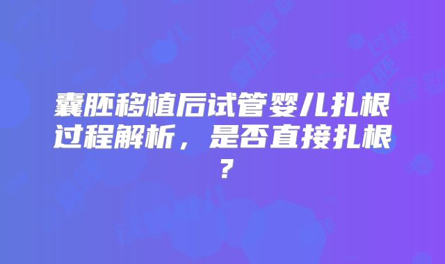 囊胚移植后试管婴儿扎根过程解析，是否直接扎根？