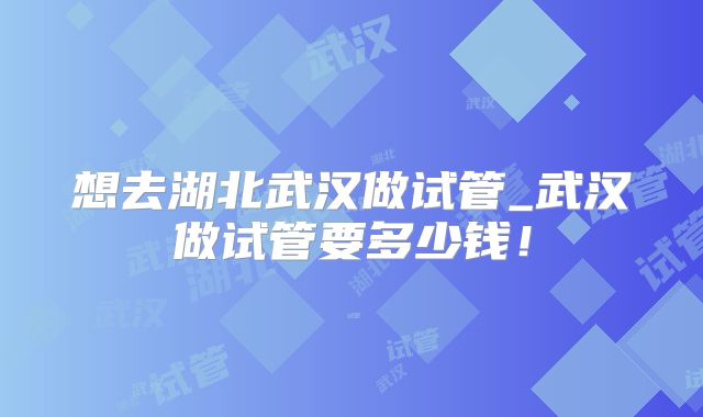 想去湖北武汉做试管_武汉做试管要多少钱！