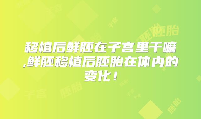 移植后鲜胚在子宫里干嘛,鲜胚移植后胚胎在体内的变化！