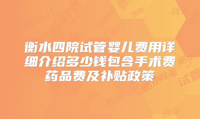 衡水四院试管婴儿费用详细介绍多少钱包含手术费药品费及补贴政策