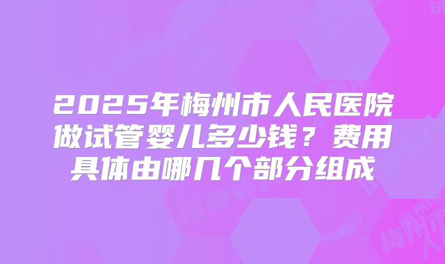 2025年梅州市人民医院做试管婴儿多少钱？费用具体由哪几个部分组成