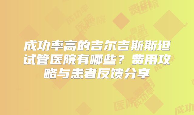 成功率高的吉尔吉斯斯坦试管医院有哪些？费用攻略与患者反馈分享