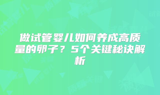做试管婴儿如何养成高质量的卵子?5个关键秘诀解析