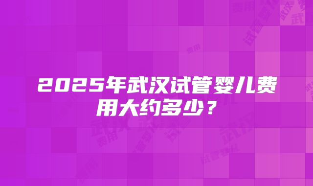 2025年武汉试管婴儿费用大约多少？