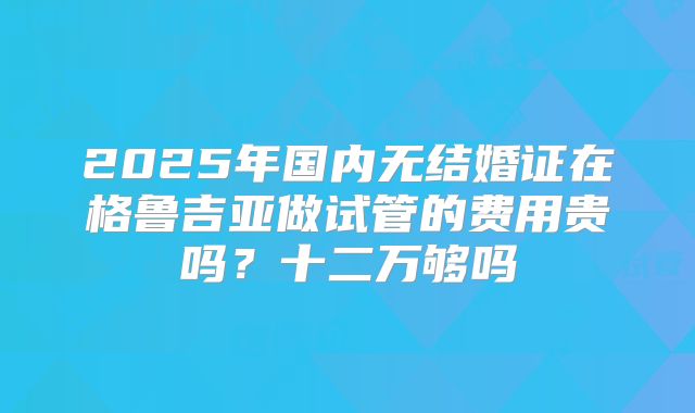 2025年国内无结婚证在格鲁吉亚做试管的费用贵吗?十二万够吗
