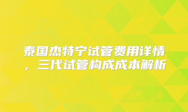 泰国杰特宁试管费用详情，三代试管构成成本解析