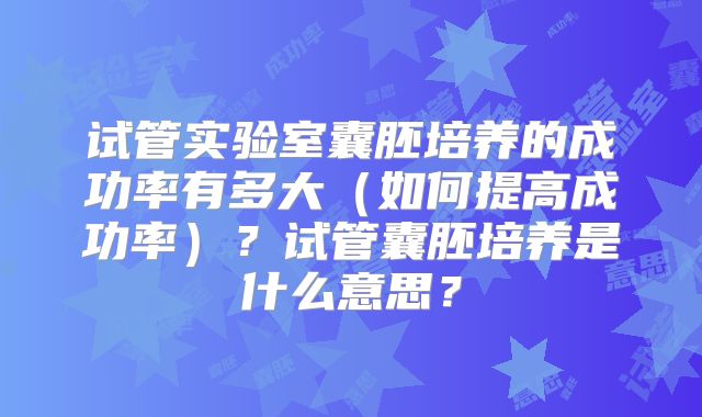 试管实验室囊胚培养的成功率有多大（如何提高成功率）？试管囊胚培养是什么意思？