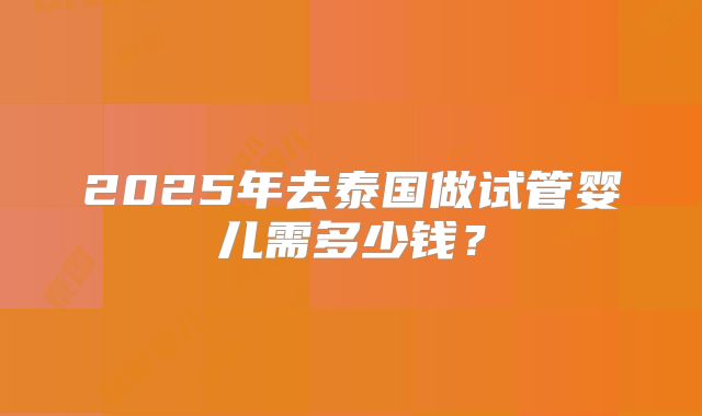 2025年去泰国做试管婴儿需多少钱？
