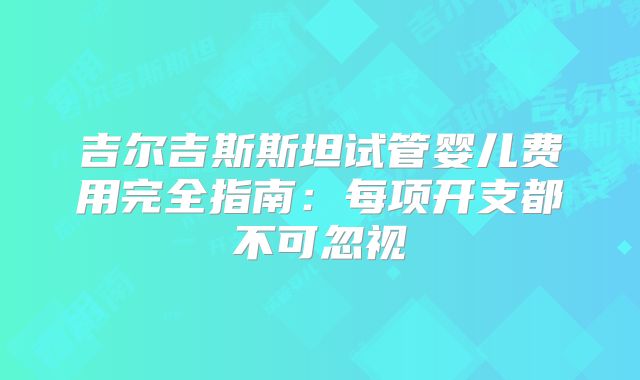 吉尔吉斯斯坦试管婴儿费用完全指南：每项开支都不可忽视