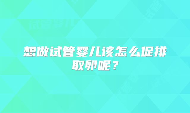 想做试管婴儿该怎么促排取卵呢？