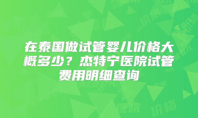 在泰国做试管婴儿价格大概多少？杰特宁医院试管费用明细查询