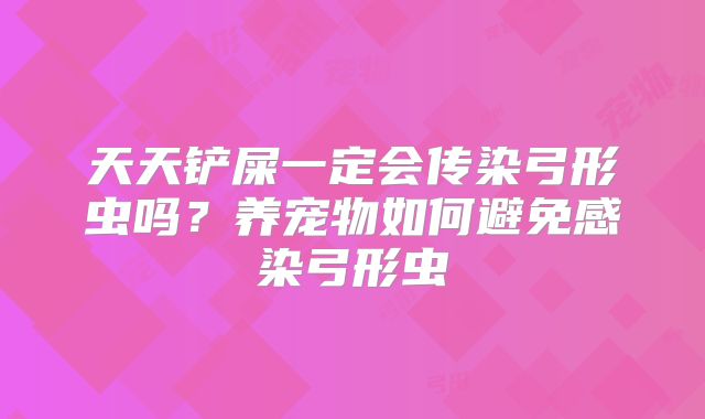 天天铲屎一定会传染弓形虫吗？养宠物如何避免感染弓形虫