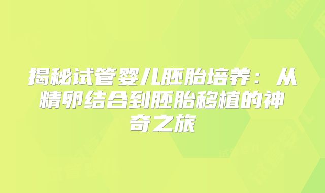 揭秘试管婴儿胚胎培养：从精卵结合到胚胎移植的神奇之旅