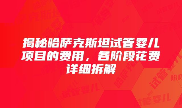 揭秘哈萨克斯坦试管婴儿项目的费用，各阶段花费详细拆解