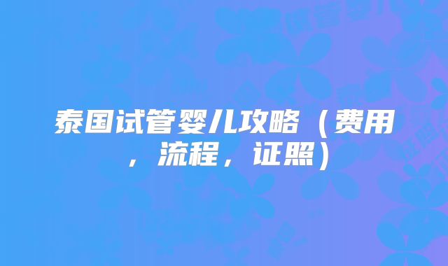 泰国试管婴儿攻略(费用,流程,证照)