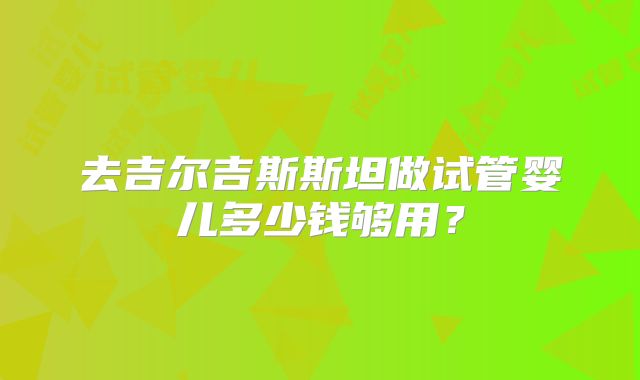 去吉尔吉斯斯坦做试管婴儿多少钱够用?