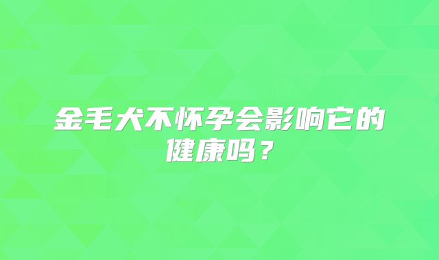 金毛犬不怀孕会影响它的健康吗？