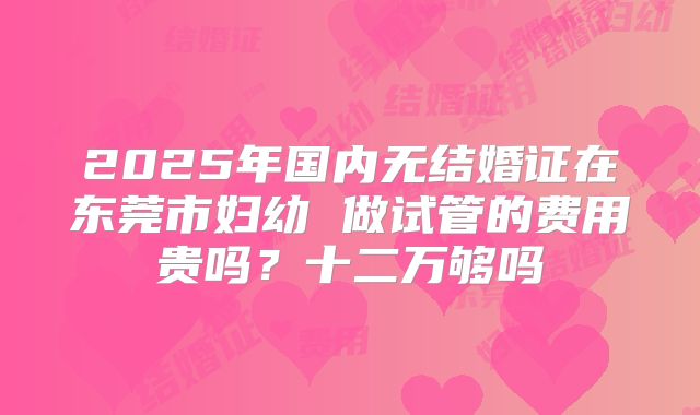 2025年国内无结婚证在东莞市妇幼 做试管的费用贵吗?十二万够吗