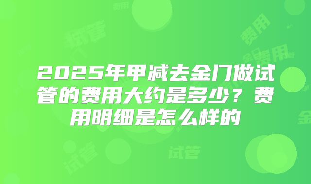 2025年甲减去金门做试管的费用大约是多少？费用明细是怎么样的
