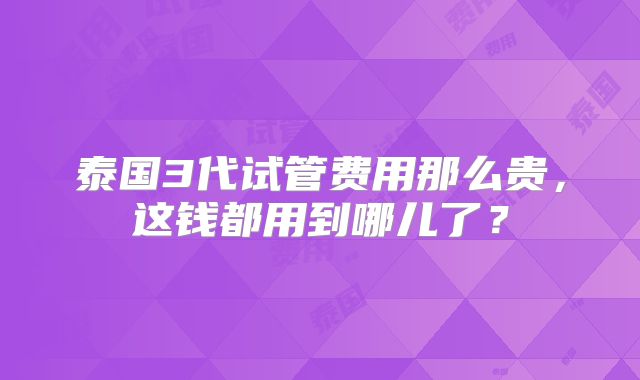 泰国3代试管费用那么贵，这钱都用到哪儿了？