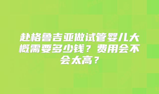 赴格鲁吉亚做试管婴儿大概需要多少钱？费用会不会太高？