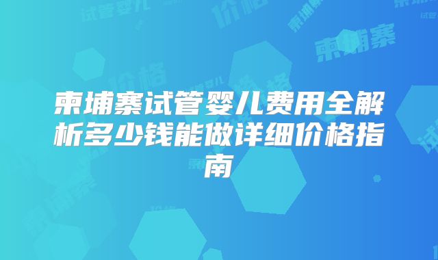 柬埔寨试管婴儿费用全解析多少钱能做详细价格指南