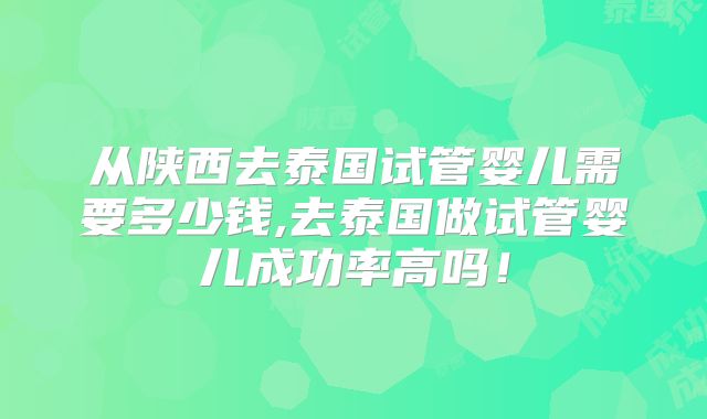 从陕西去泰国试管婴儿需要多少钱,去泰国做试管婴儿成功率高吗！