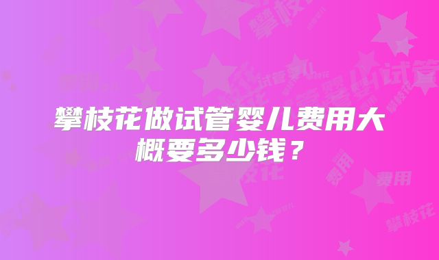 攀枝花做试管婴儿费用大概要多少钱?