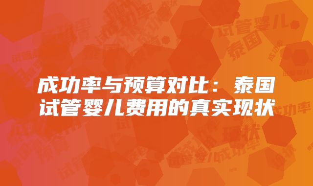 成功率与预算对比:泰国试管婴儿费用的真实现状