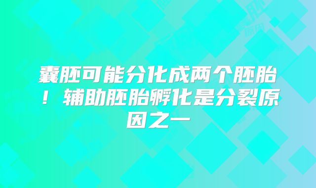 囊胚可能分化成两个胚胎！辅助胚胎孵化是分裂原因之一
