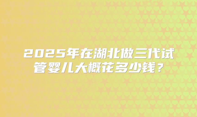 2025年在湖北做三代试管婴儿大概花多少钱？