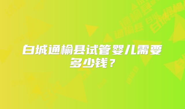 白城通榆县试管婴儿需要多少钱？