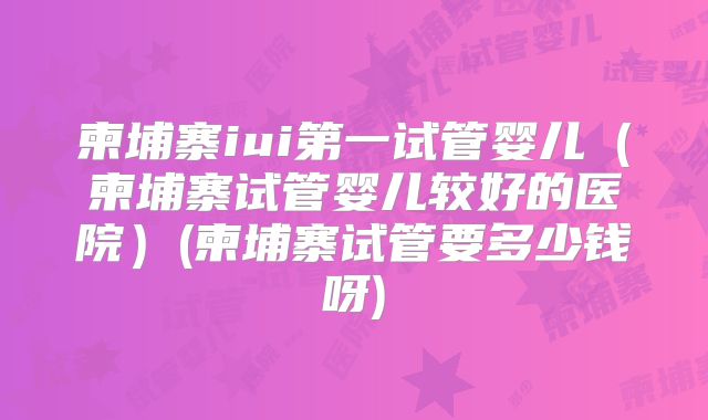 柬埔寨iui第一试管婴儿（柬埔寨试管婴儿较好的医院）(柬埔寨试管要多少钱呀)