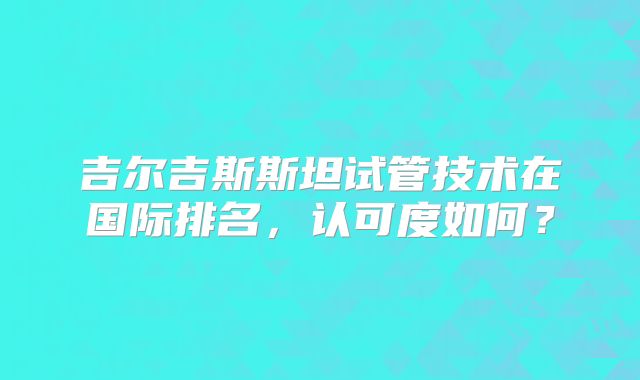 吉尔吉斯斯坦试管技术在国际排名，认可度如何？