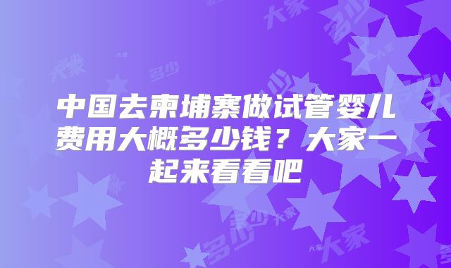 中国去柬埔寨做试管婴儿费用大概多少钱？大家一起来看看吧