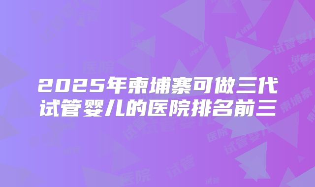 2025年柬埔寨可做三代试管婴儿的医院排名前三
