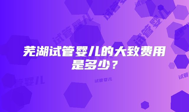 芜湖试管婴儿的大致费用是多少?