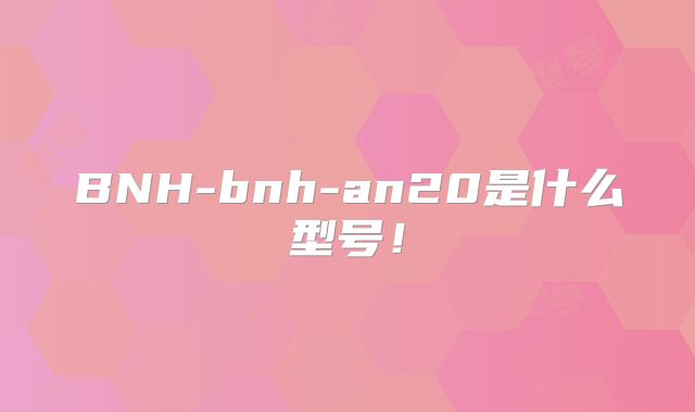 BNH-bnh-an20是什么型号！