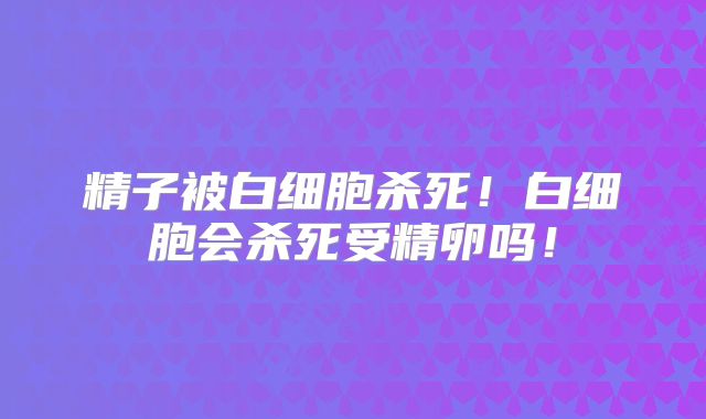 精子被白细胞杀死!白细胞会杀死受精卵吗!