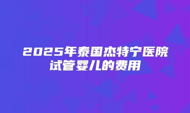 2025年泰国杰特宁医院试管婴儿的费用