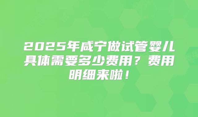 2025年咸宁做试管婴儿具体需要多少费用？费用明细来啦！
